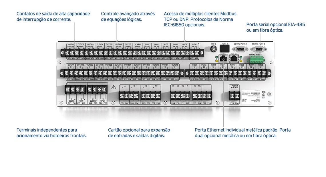311C-back pt