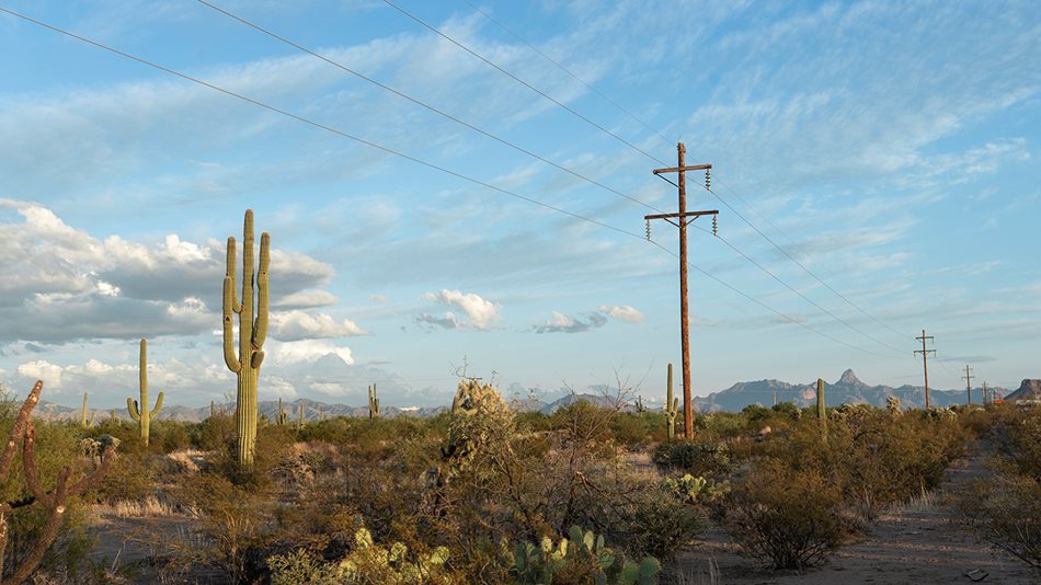 Lighting up the Desert Nation